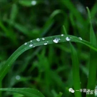 冰之焰：夏雨-映像（Bandari:雨后）