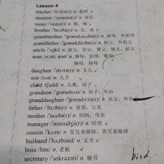 新课标lesson4