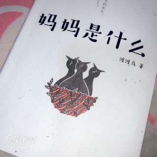 《妈妈是什么》P183——P189