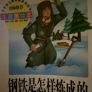 钢铁是怎样炼成的