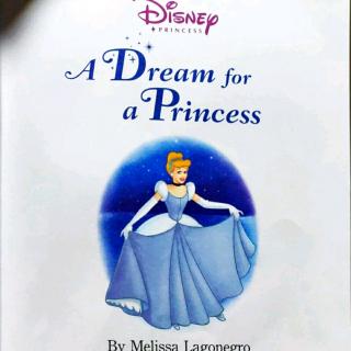 A dream for a princess