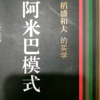 《阿米巴模式》18