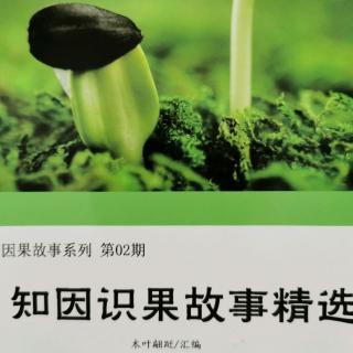 《知因识果故事精选》故事125：收红包的医生