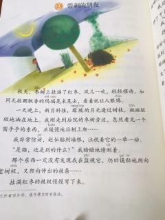 《带刺的朋友》宗介华