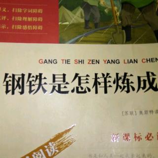 《钢铁是怎样炼成的》