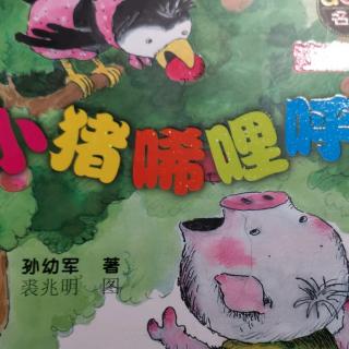 小猪稀里呼噜做梦