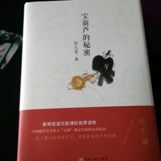 宝葫芦的秘密第八章