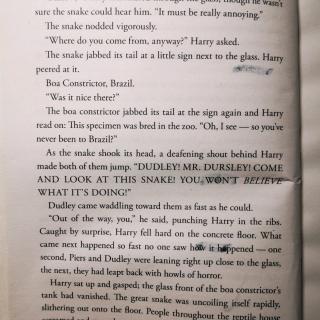 Harry Potter and the sorcerer's store28