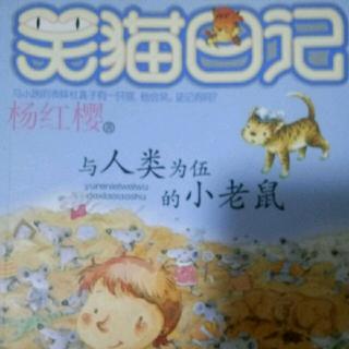 《笑猫日记》7：司线来了