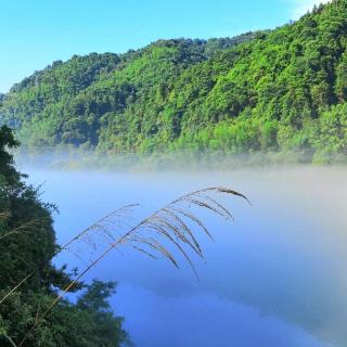 《逢入京使》——岺参