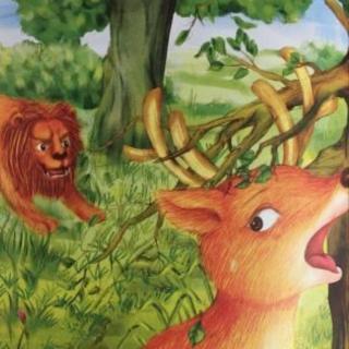 『睡前故事来啦』鹿和狮子