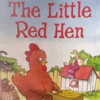 the little red hen 全本