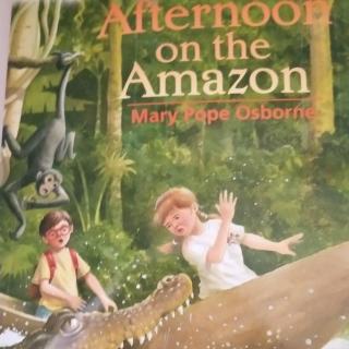 Afternoon on the Amazon 1-10