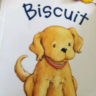 biscuit