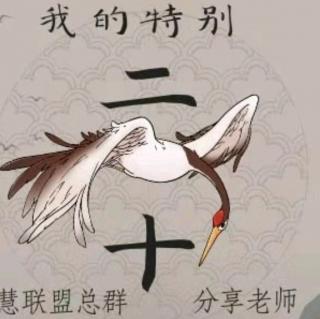 《我的特别二十天》 何小芳老师