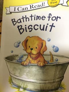 Bathtime for biscuit