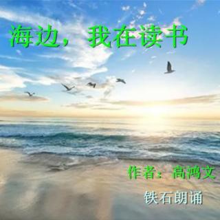 《海边，我在读书》作者：高鸿文； 铁石朗诵