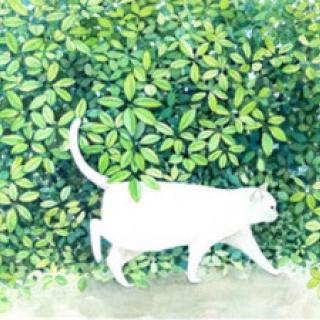【写故事听】第230集 闯祸的小猫茉莉