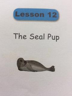 《Good English    Lesson12 The Seal Pup》