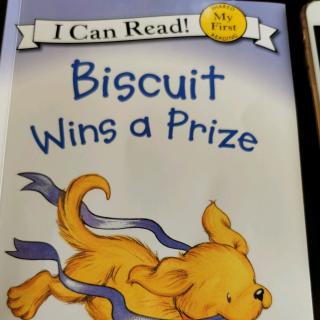 Biscuit wins a prize