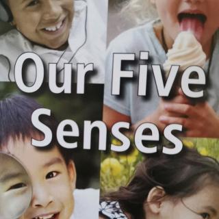 Tommy阅读100第95天打卡#our five senses#