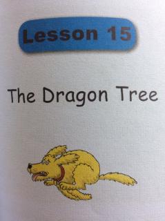 《Good English   Lesson15 The Dragon Tree》