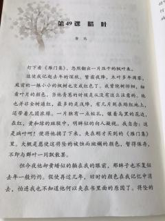 《腊叶》鲁迅