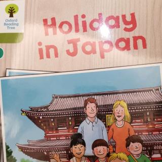 Holiday in Japan