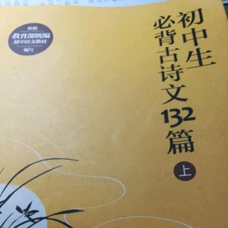 新版小学+初中古诗文28篇