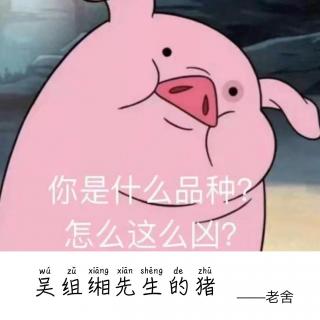 Vol.100 吴组缃先生的猪-老舍
