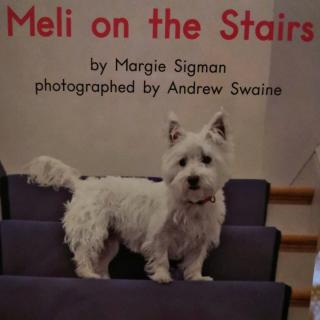 meli on the stairs