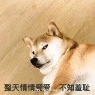 是什么让婚姻变成了爱情的坟墓🐱