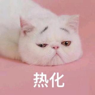 少有人走的路:爱的神秘性🐱