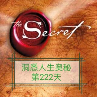 洞悉人生奥秘第222天