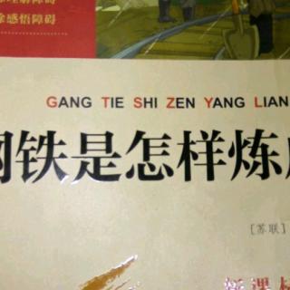 《钢铁是怎样炼成的》