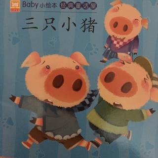 三只小猪🐷