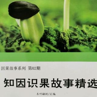 《知因识果故事精选》故事129：鸡贩和鱼贩的故事