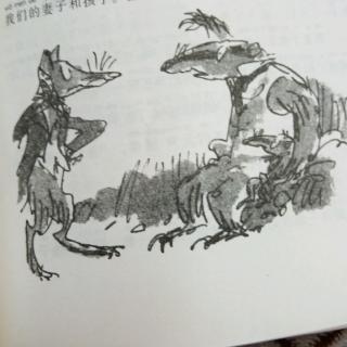 獾