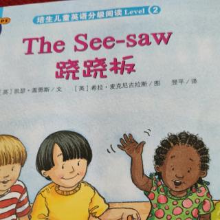 5-The See-saw