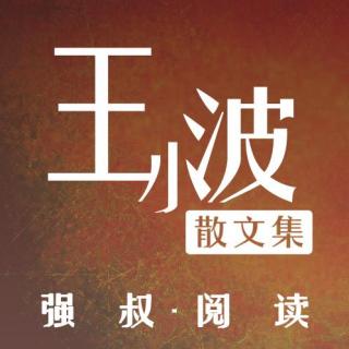 强叔阅读-王小波散文集【人为什么活着】