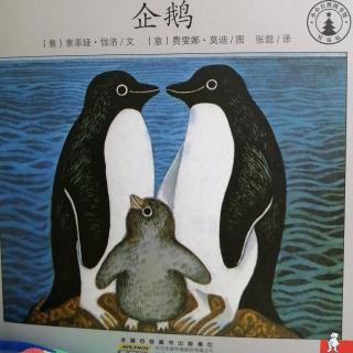 20190802小小自然图书馆13企鹅🐧—多多妈妈