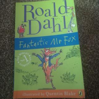fantastic Mr Fox chapter 11 A surprise for Mrs Fox