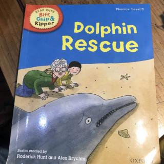 dolphin rescue—Shelly