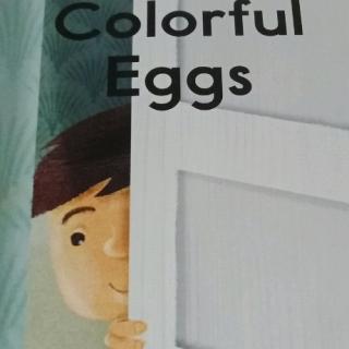 Colorful  Eggs王一坤