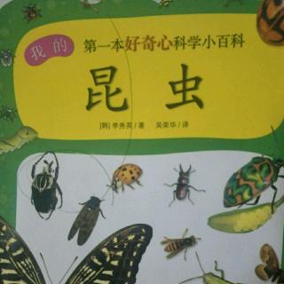 我的第一本好奇心科学小百科之昆虫