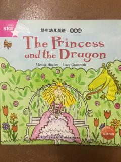 The Princess and the dragon