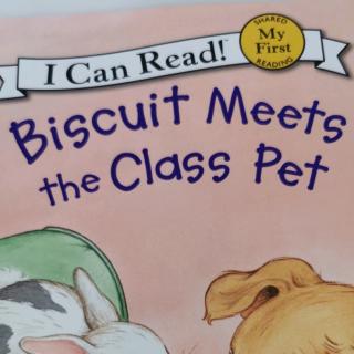 biscuit meets the class pet