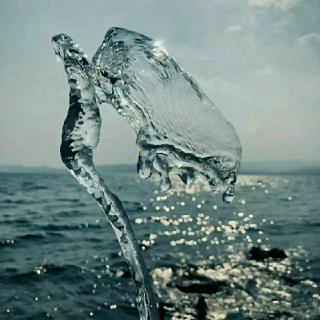 2019.8.6(新概念英语23~24)