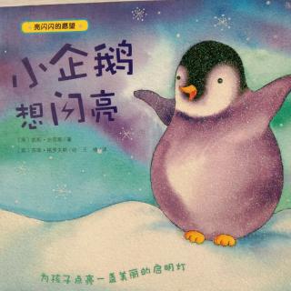 绘本故事《小企鹅想闪亮》