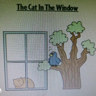 二年级英语短文朗读 The Cat In The Window